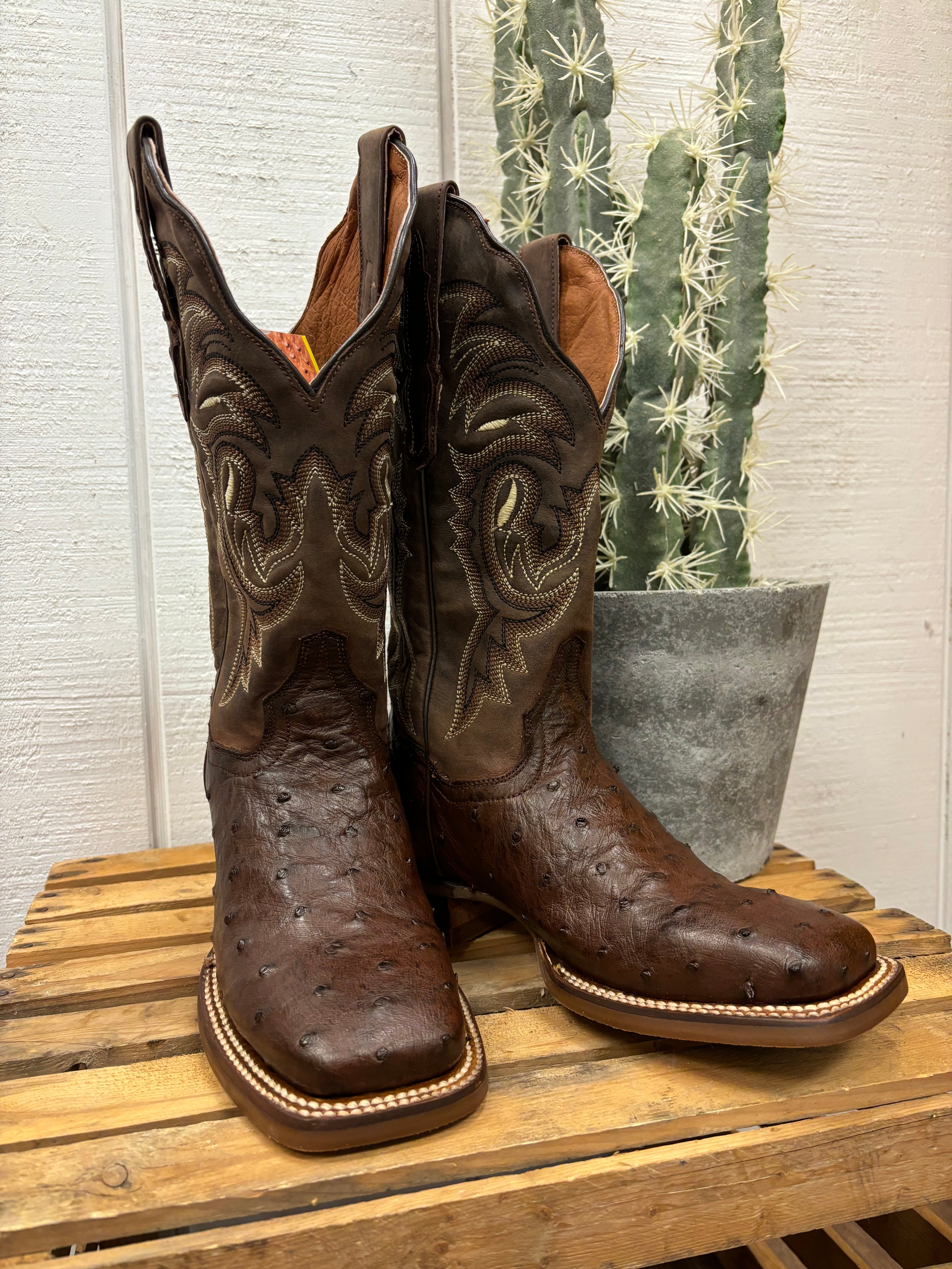 Dan Post Women s Kylo Chocolate Full Quill Ostrich Square Toe Cowgirl Boots DP5250 Painted Cowgirl Western Store