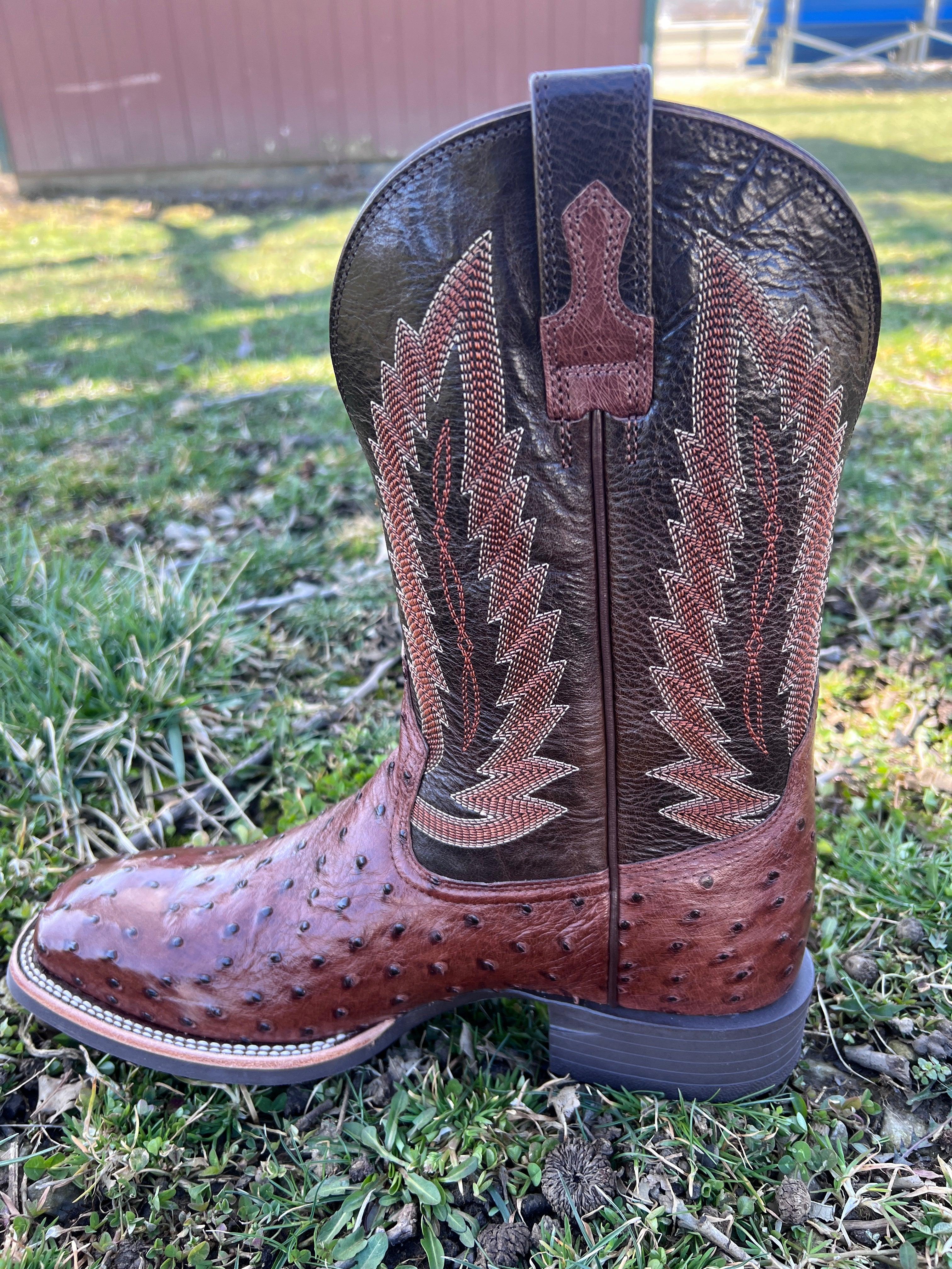 Ariat quantum 2024