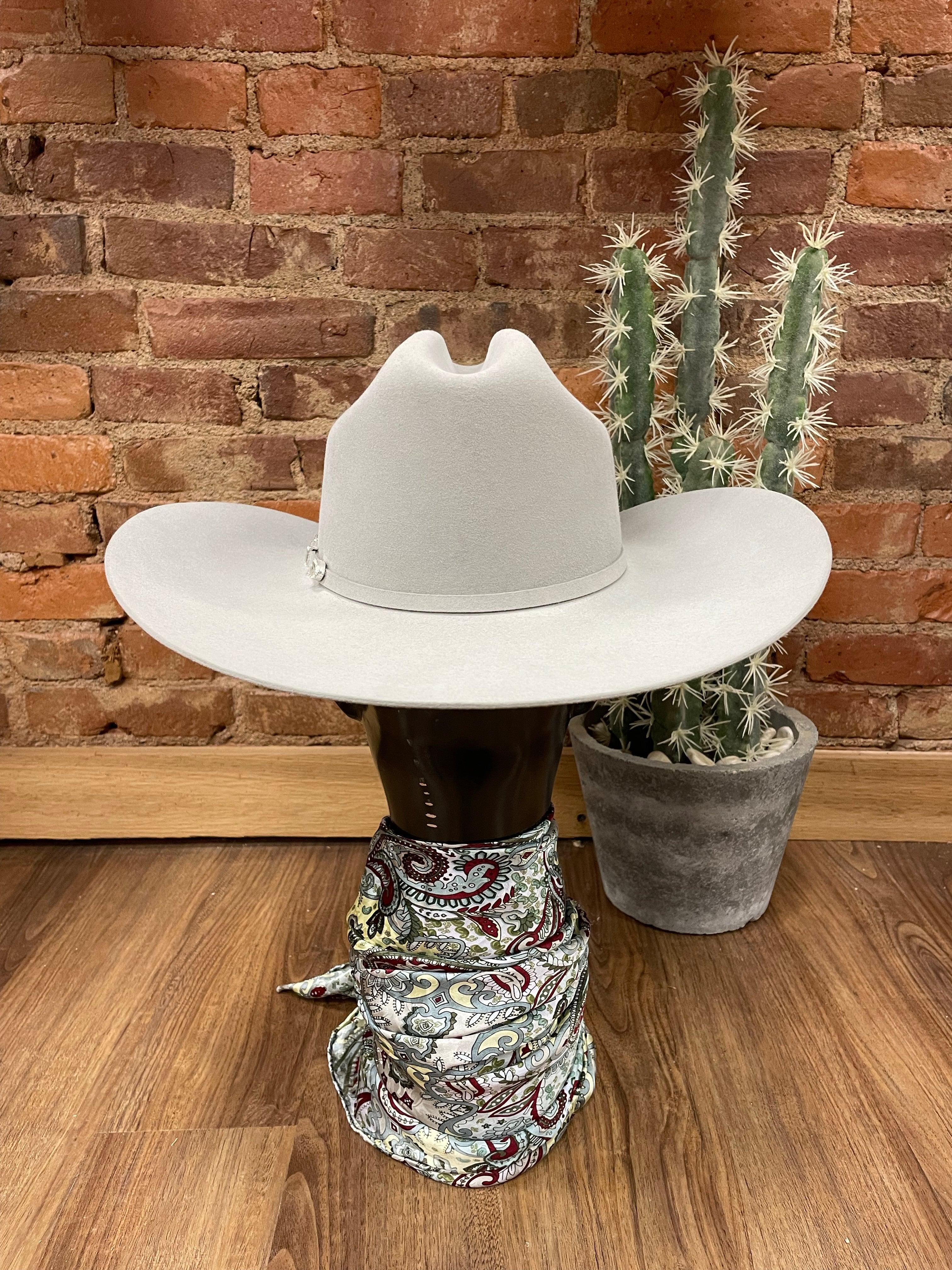 10x beaver felt store stetson